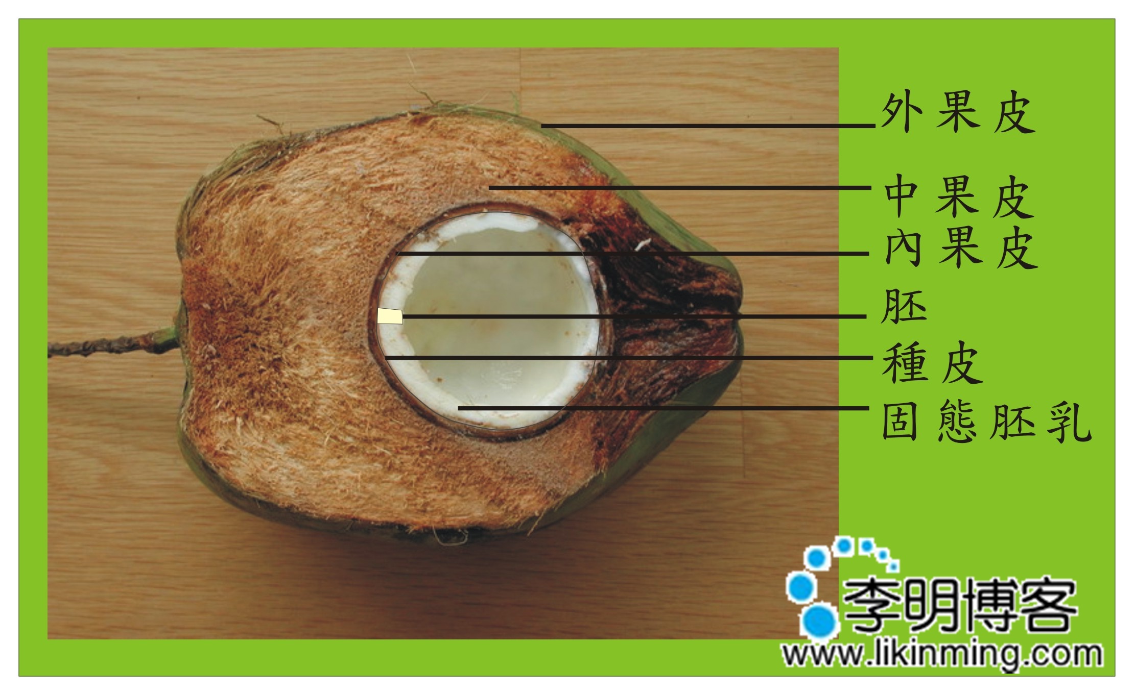 椰子水的好处