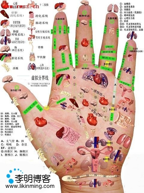 手穴图